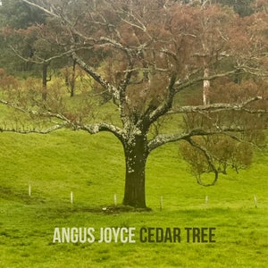Angus Joyce - triple j Unearthed