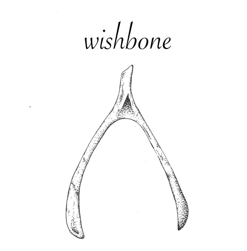 Wishbone triple j Unearthed