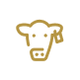 cta button icon