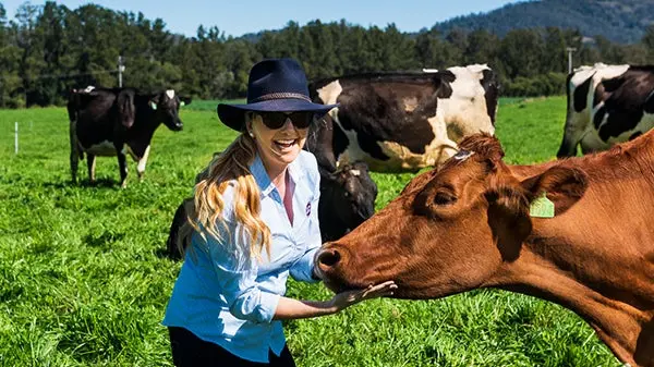 Value prop card image