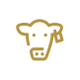 cta button icon