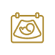 cta button icon