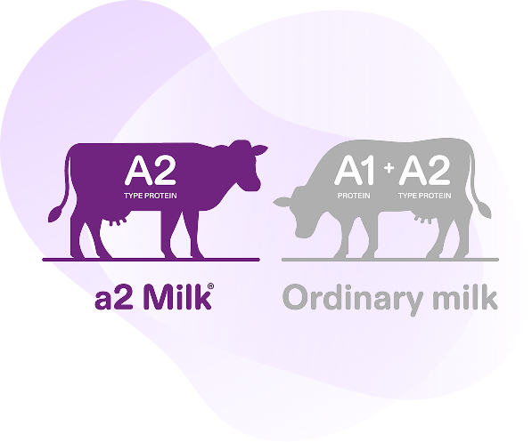 Sự khác biệt của Sữa a2 Milk®