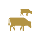 cta button icon