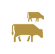 cta button icon