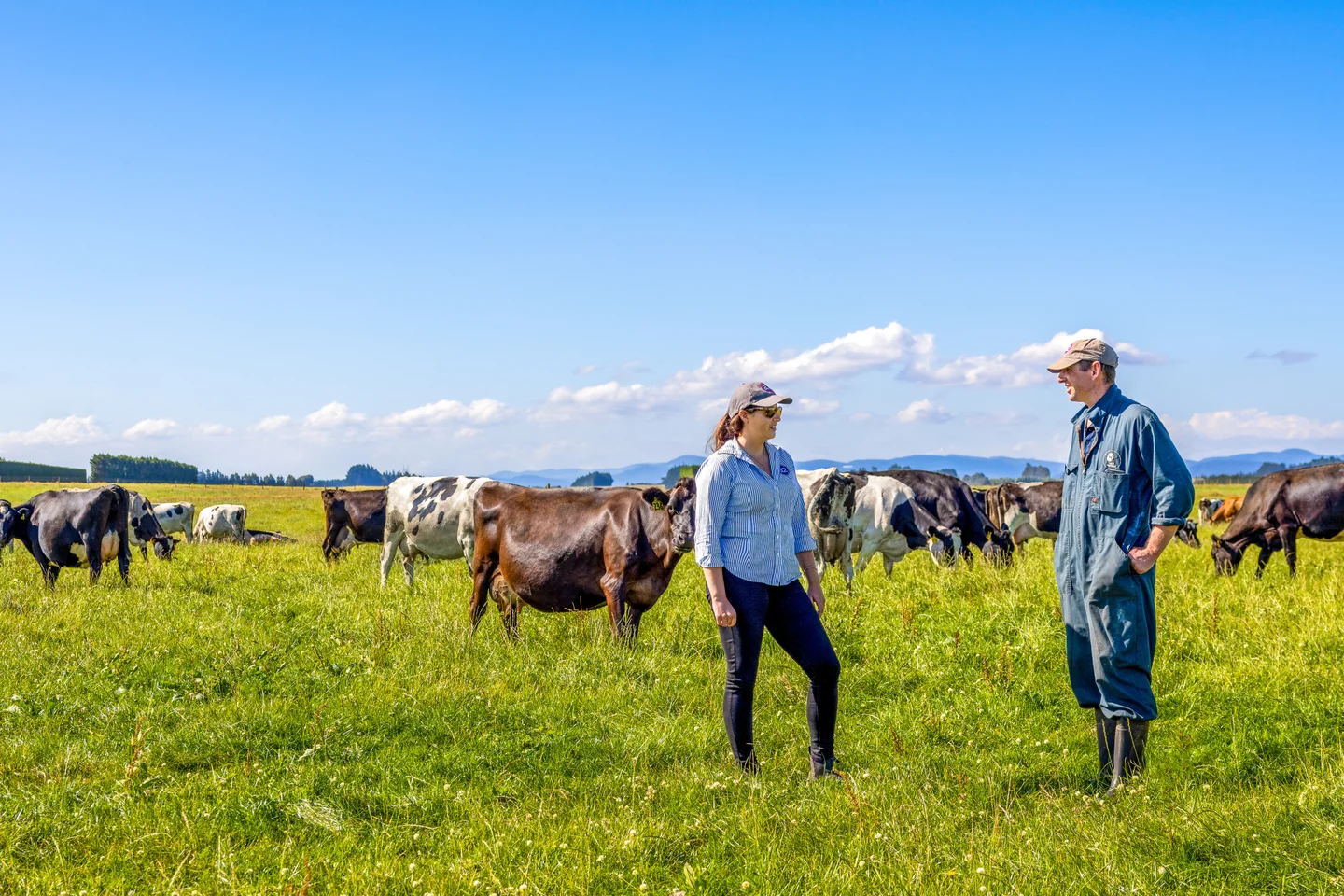 Sustainability & Community
