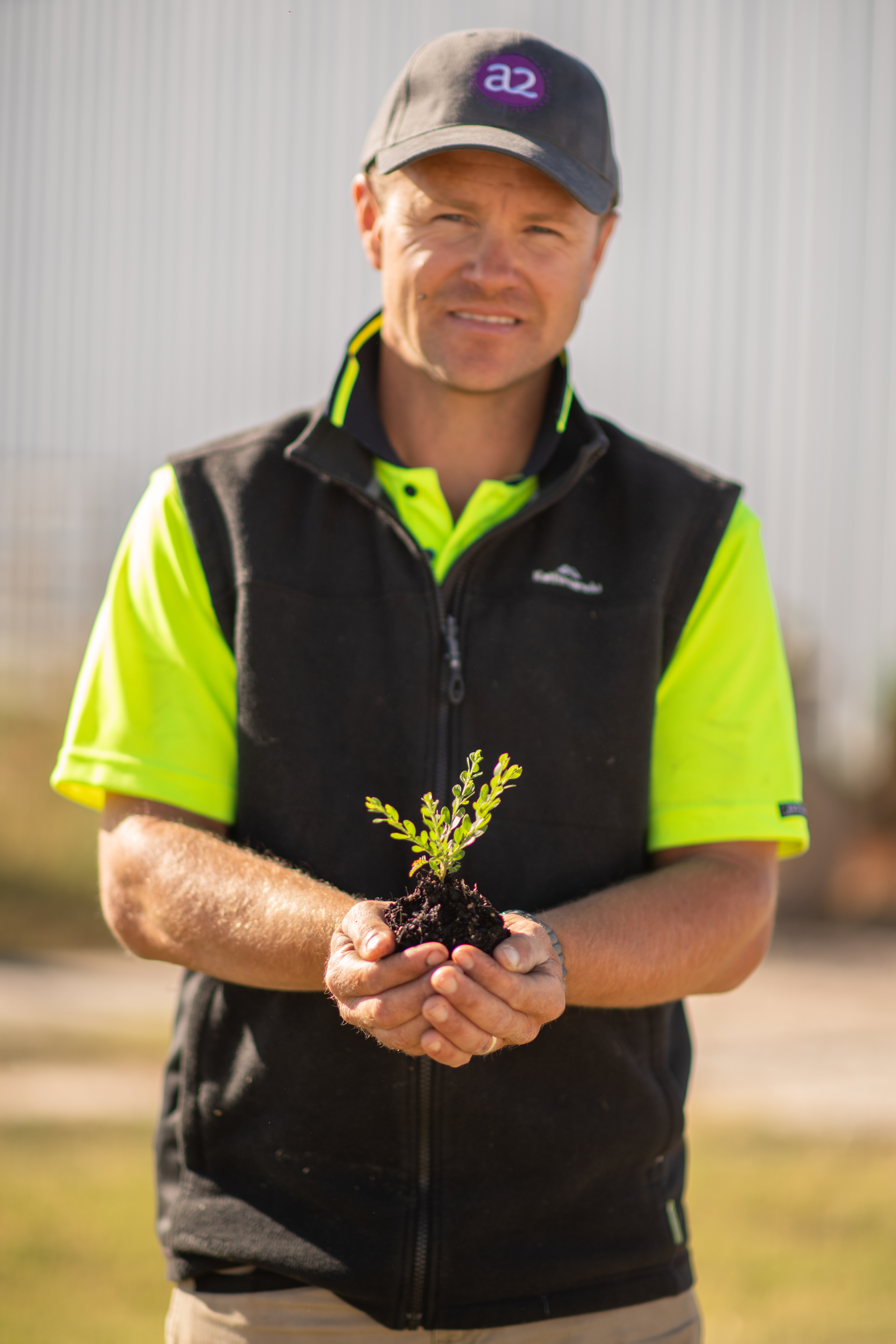 Case study card image