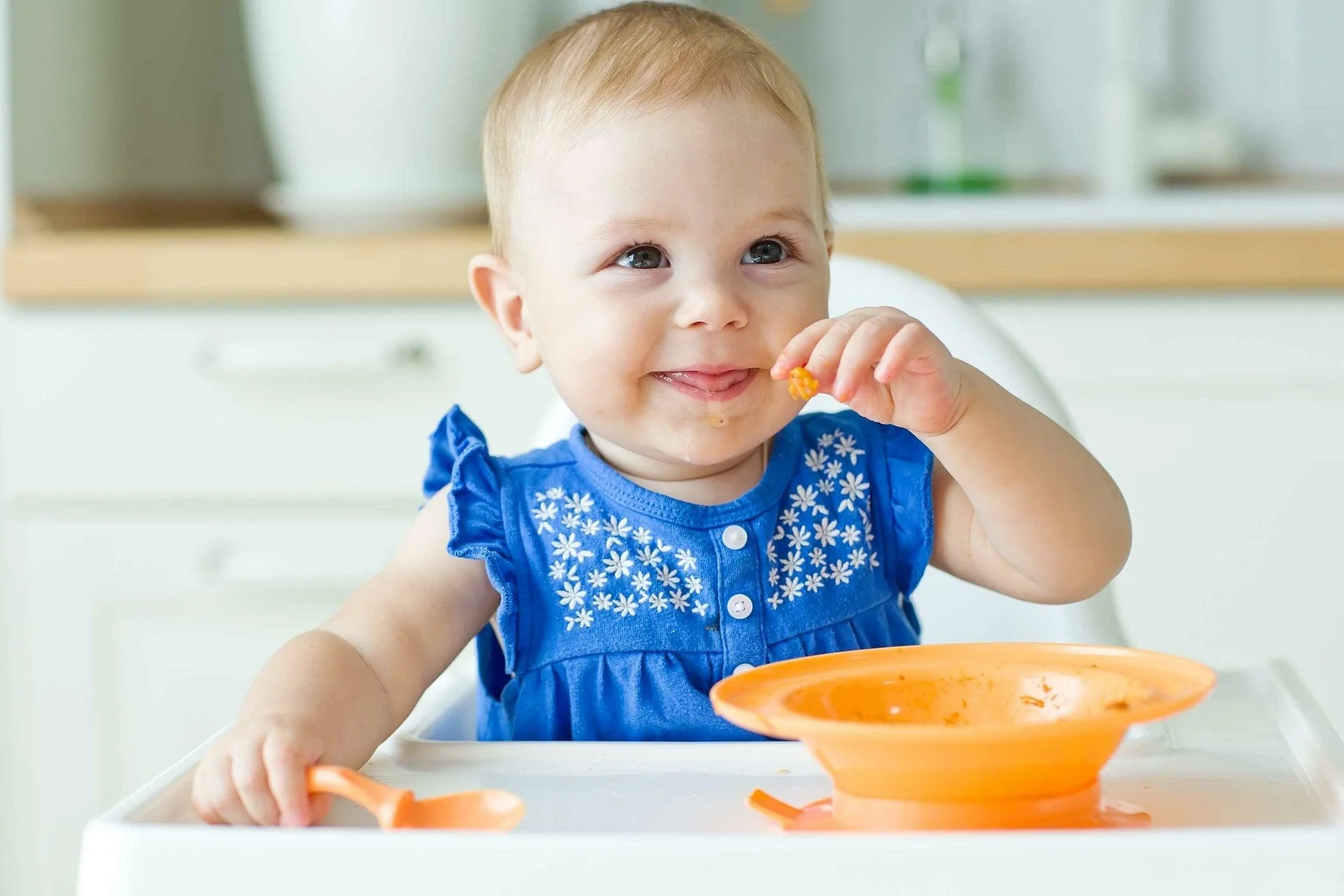 The Ultimate Guide to Baby Led Weaning