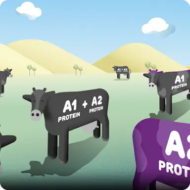 What makes  a2 Milk® special?