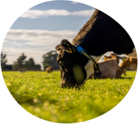 Value prop card image