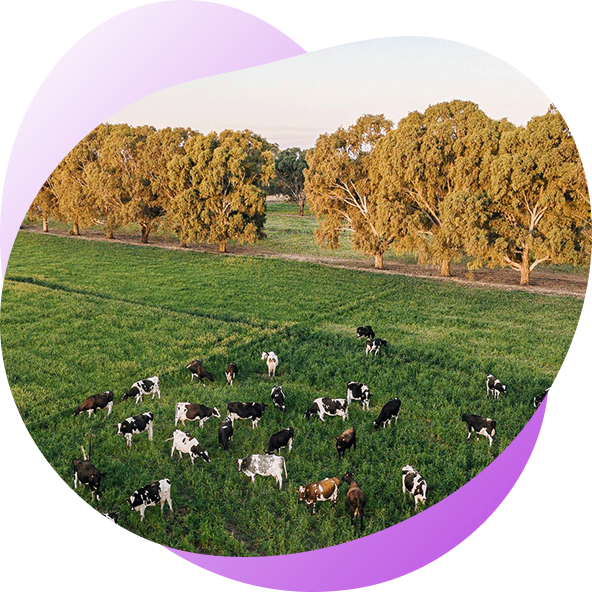 a2™ Farm Sustainability Fund