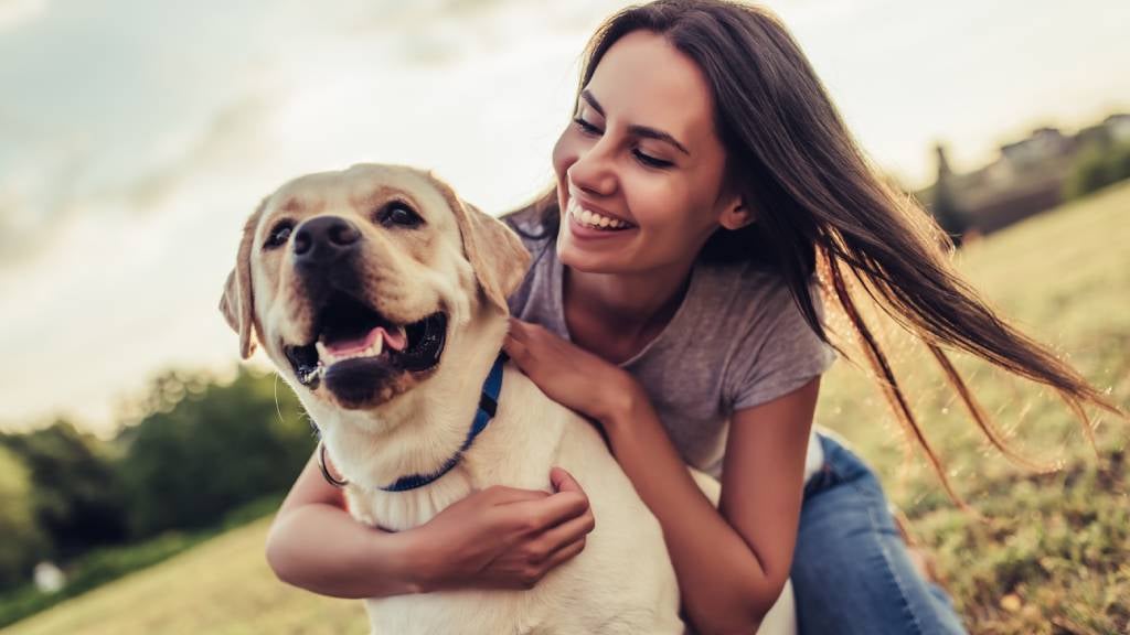 5 claim scenarios when pet insurance could be worth it | RSPCA Pet