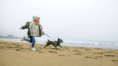 5 ways to train your dog to walk on a leash