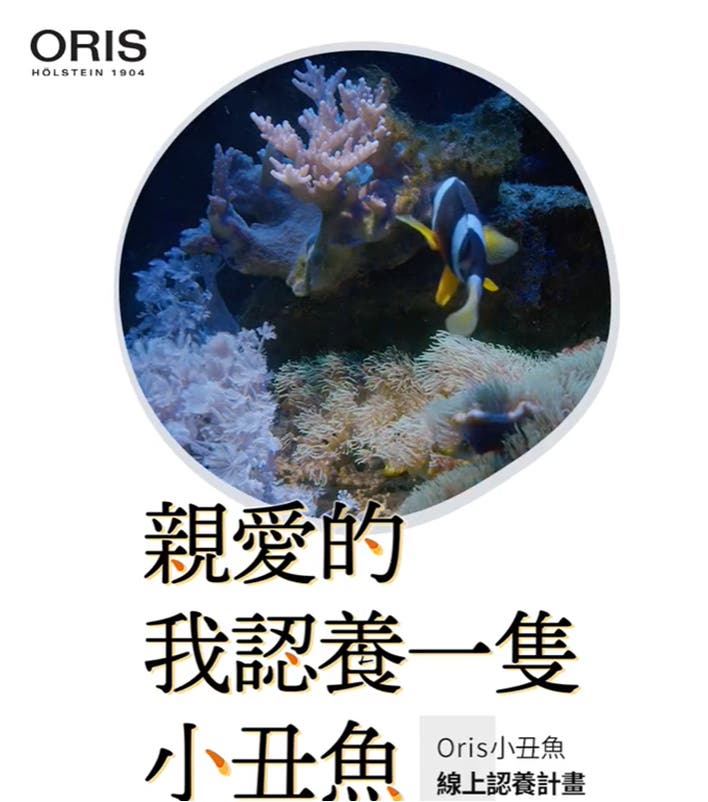 Case study card header image