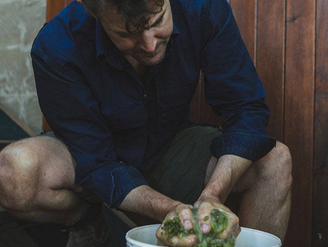 Nathan Kinzbrunner hand crushing green grapes