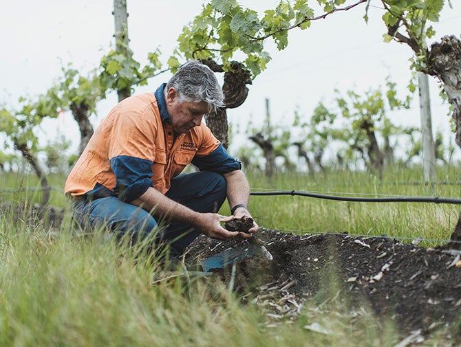 Viticulturlist Rob Sutherland digging through vineyard soil
