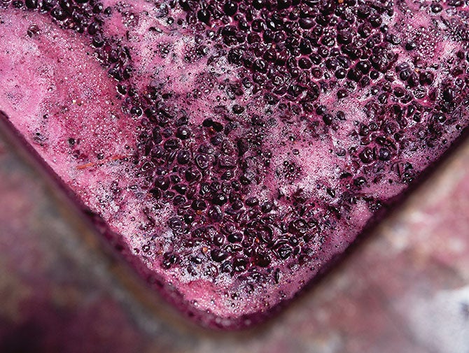 Red wine fermentation