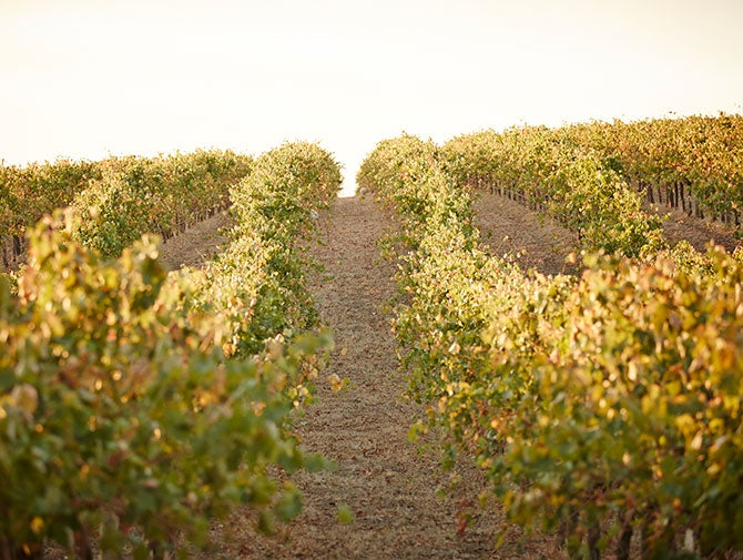 Glenrowan wine region Australia