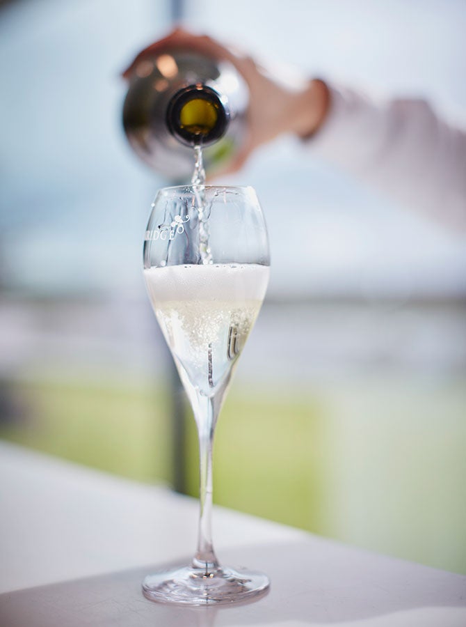 Sparkling wine poured into glass