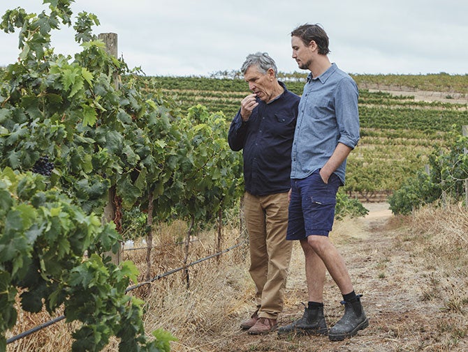 Mark Lloyd and Duncan Lloyd in vineyard