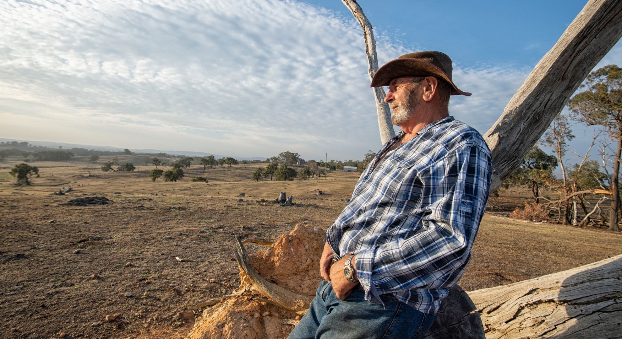 Online therapy for rural and regional Australia