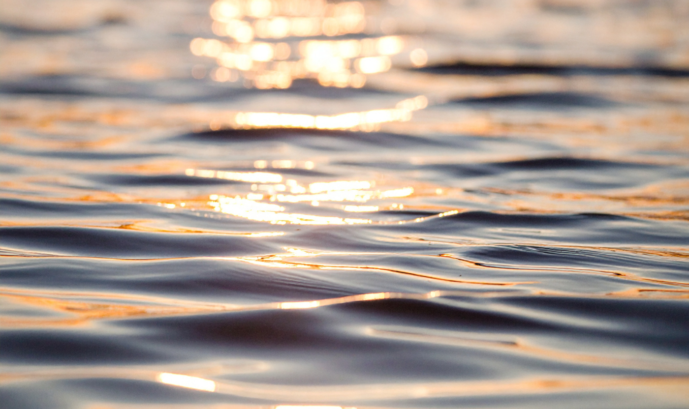 Sunlight dances on the surface of tranquil water, creating gentle ripples. This image evokes healing, calm and quiet reflection after loss.