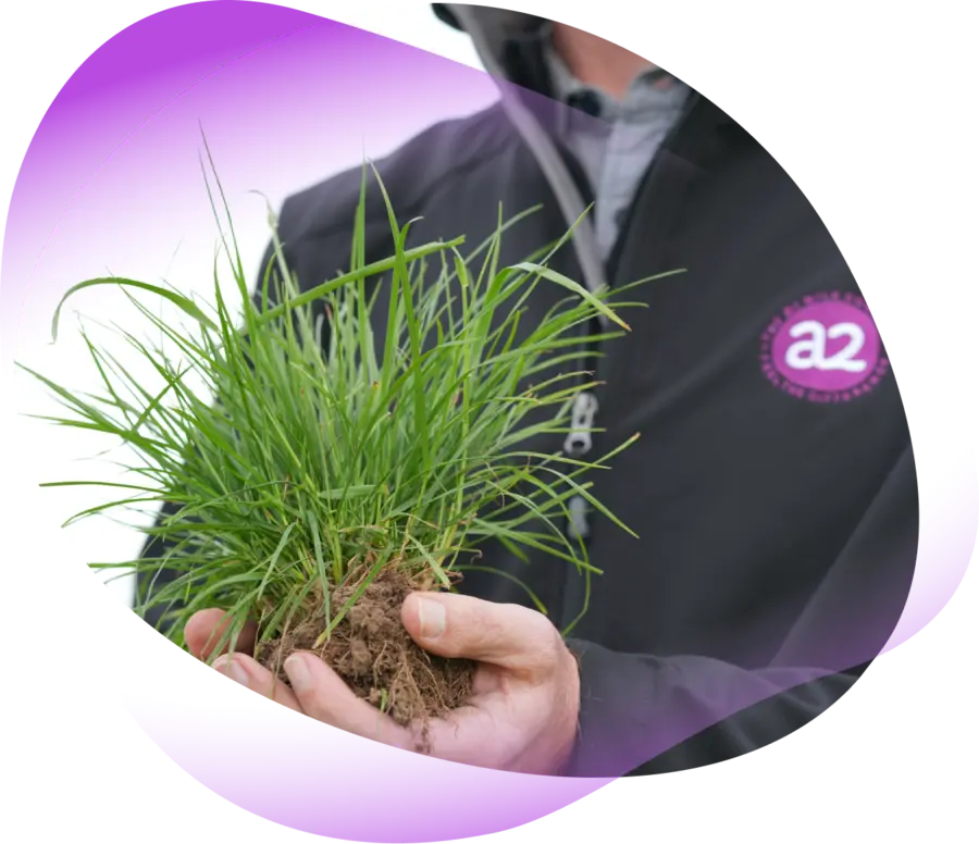 <p>We Back Our Supplier Farmers Who Lead the Way</p>