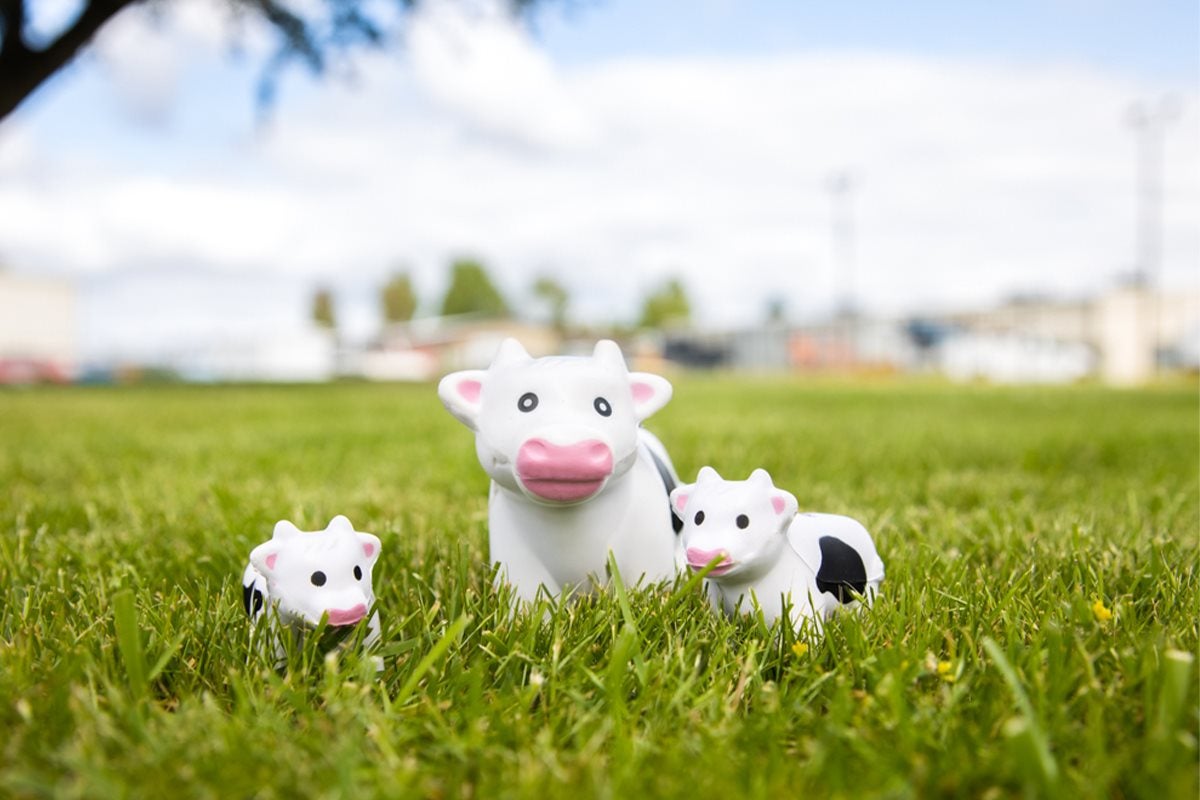 Mootilda the a2 Milk® mascot in a field