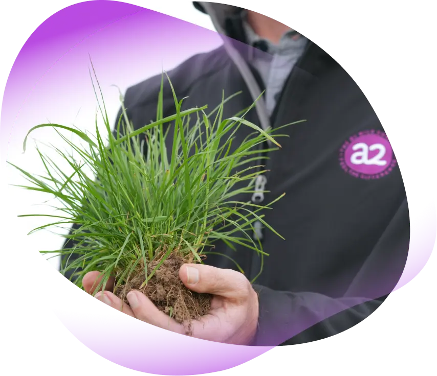 <p>Working Together for a Sustainable Future</p>