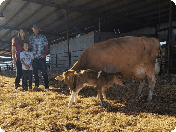 Real Cows' Milk – Love Milk Again | a2 Milk® USA Real Cows' Milk – Love Milk Again | a2 Milk® USA