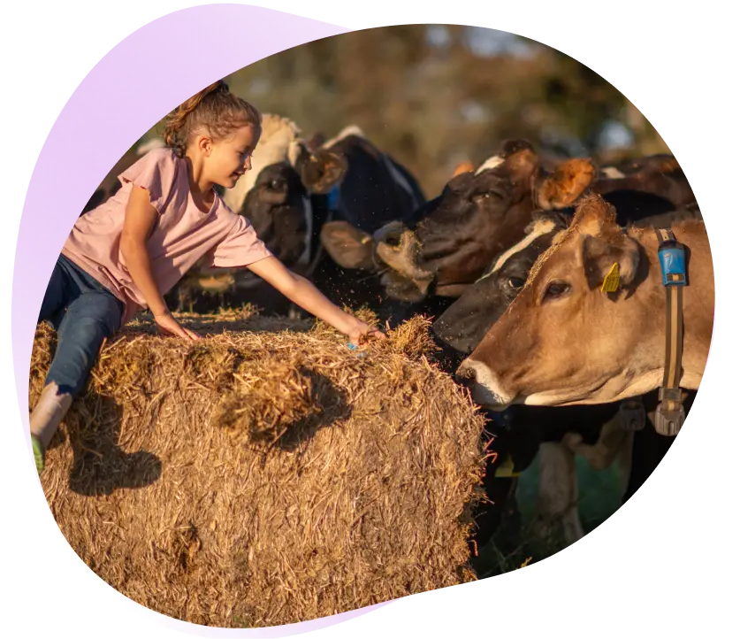 <h1>Shareholder<br>
information</h1>
<p>If you currently own shares and want to change your shareholding address, transfer your stock, or for lost certificate requirements, please contact our share registry company, Link Market Services.</p>