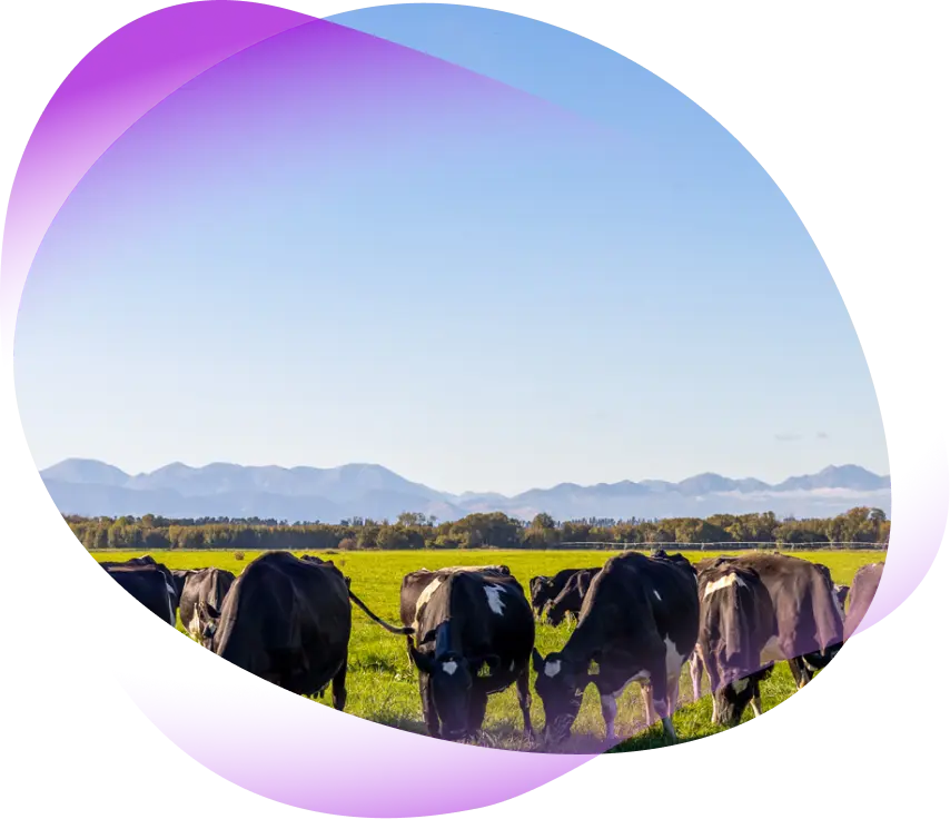 <p>Let’s Protect What Makes Dairy Possible</p>