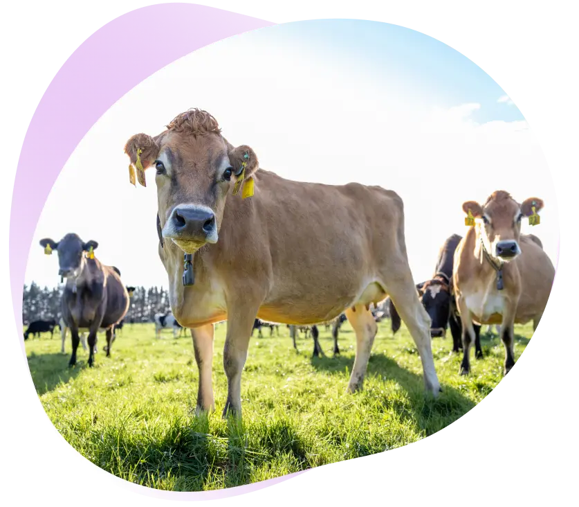 <h1>ESG <br>
Reporting</h1>