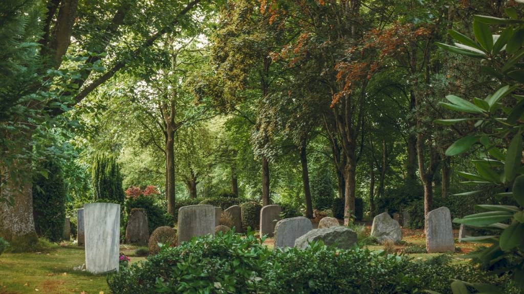 Tombstones in a peaceful cemetery surrounded by trees