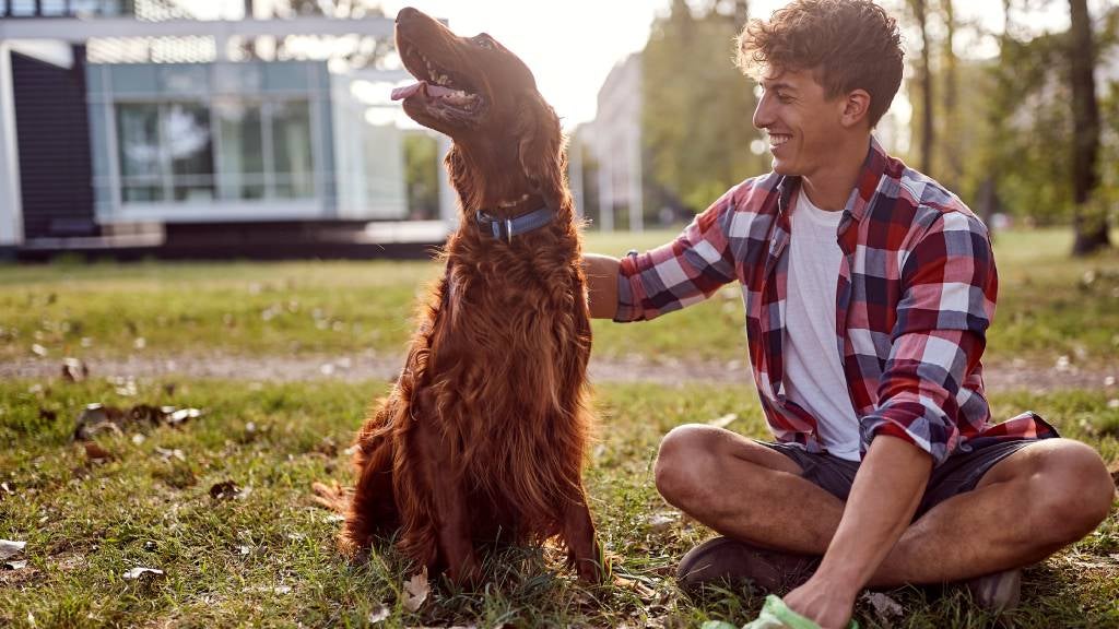 Man holding an empty waste bag while sitting on the grass with a brown Labrador