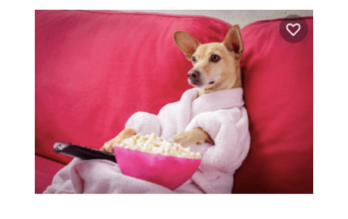 FB貼文技巧-吸引目光的圖片