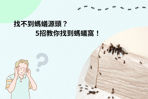 找不到螞蟻源頭？5招教你找到螞蟻窩！