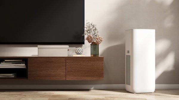 除跳蚤方法2：降低室內濕度
