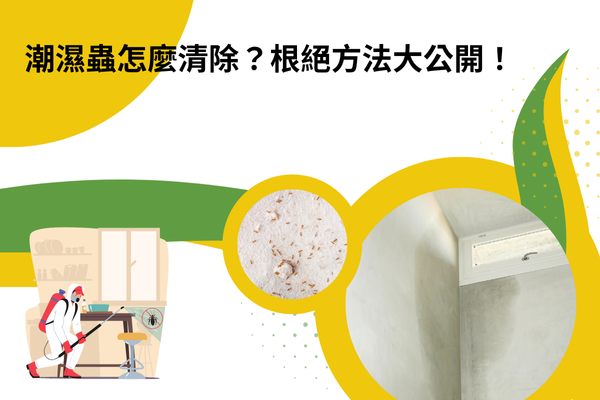 潮濕蟲怎麼清除？根絕方法大公開！
