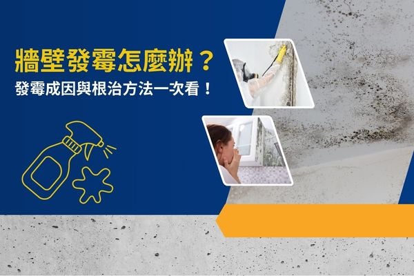 牆壁發霉怎麼辦？發霉成因與根治方法一次看！