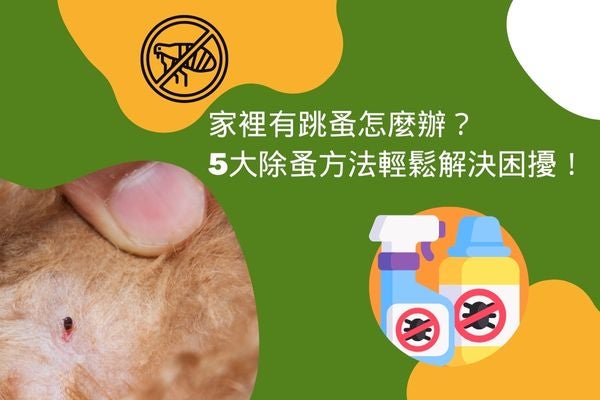 家裡有跳蚤怎麼辦？5大除蚤方法輕鬆解決困擾！