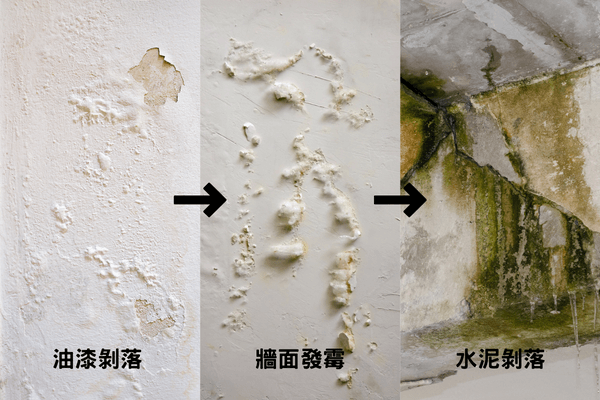 找出壁癌原因，5步驟教您如何DIY處理煩人的壁癌 - PRO360達人網