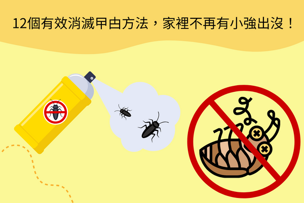 12個有效消滅曱甴方法，家裡不再有小強出沒！