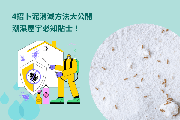 4招卜泥消滅方法大公開，潮濕屋宇必知貼士！