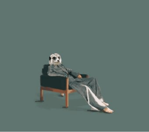 穿睡衣的狐蒙時裝插圖