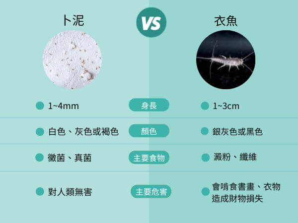 卜泥與衣魚該如何分別？