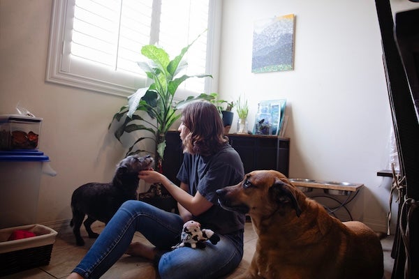 找寵物保母到府好嗎？居家照顧、陪伴與專業服務完整介紹