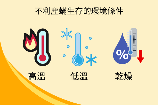 塵蟎到底怕什麼？