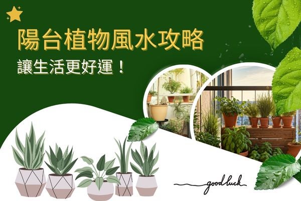 陽台植物風水攻略，讓生活更好運！