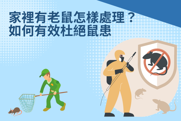 家裡有老鼠怎樣處理？如何有效杜絕鼠患！